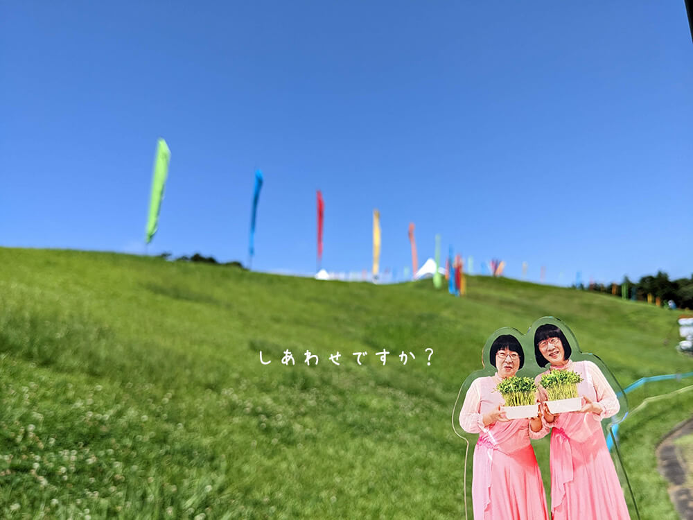 ap bank fes'23と阿佐ヶ谷姉妹